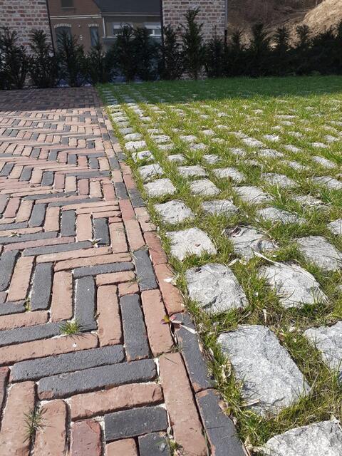 Gras dat groeit tussen klinkers