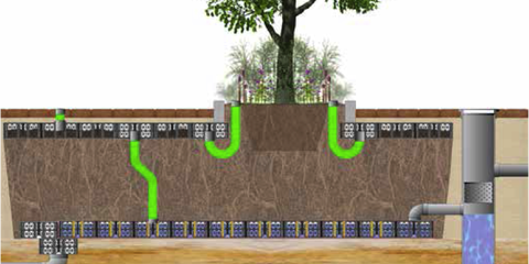 boomgroeiplaats als buffer- en infiltratie-unit