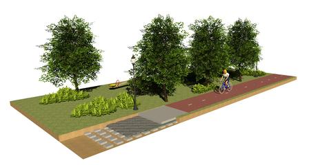 Watershell wortelbrug