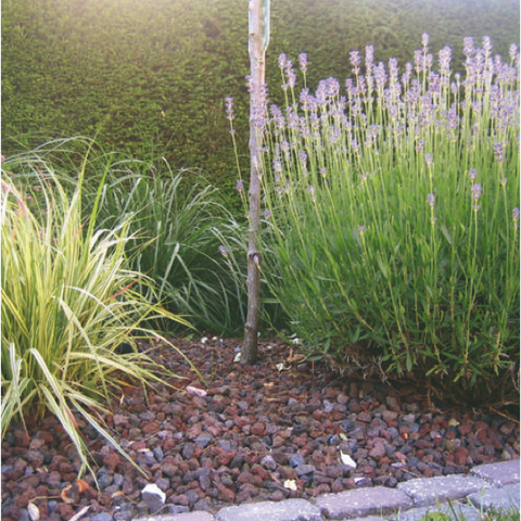 mulchlava