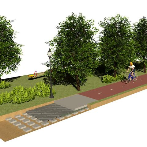 Watershell wortelbrug