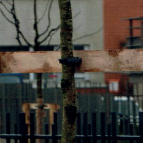 boompaalconstructie met bipode boomband