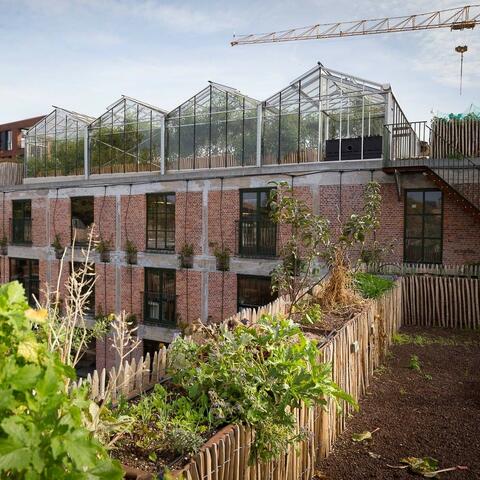 moestuindak